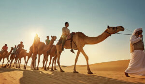 Abu Dhabi Career Guide 2025: Living, Earning, and Thriving in the UAE